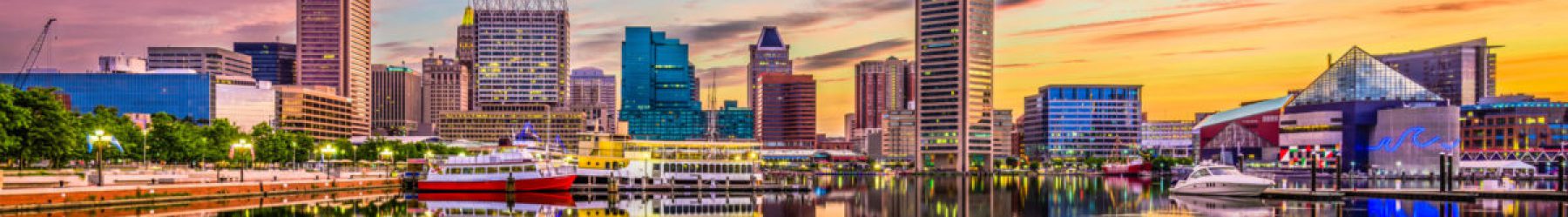 IEEE IDS 2020